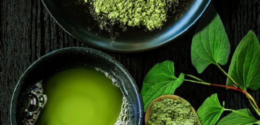 Chỉ cần trị mụn bằng rau diếp cá, cần chi mua mỹ phẩm đắt tiền