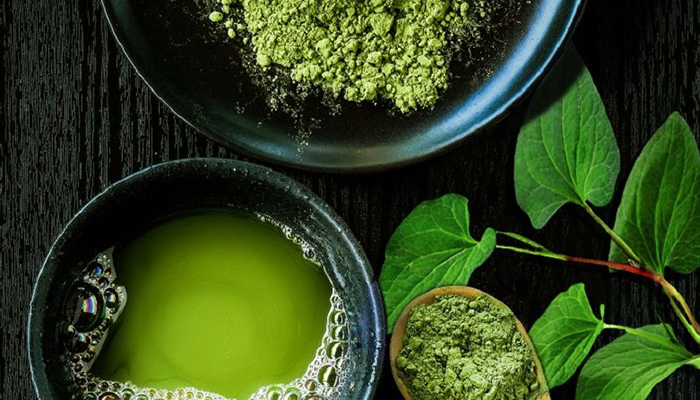 Chỉ cần trị mụn bằng rau diếp cá, cần chi mua mỹ phẩm đắt tiền