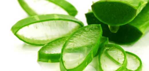 Cách trị mụn bằng nha đam hiệu quả cho mọi loại da